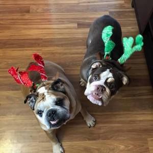 Meet your Posher, Paula